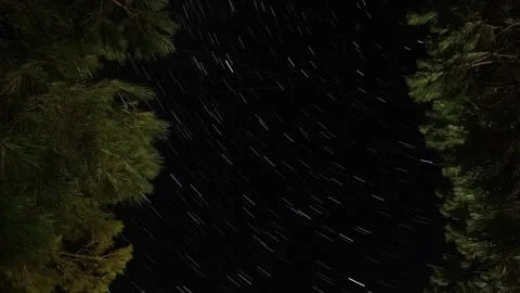 Nature Forest Star Trail Transition Stock Footage 339964937