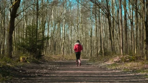 Nature, forest walk Stock Footage 230713967