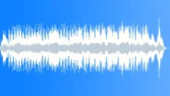 The nature foundationStock Music