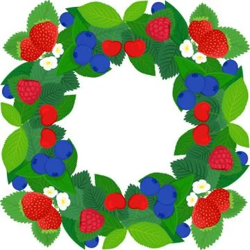 Nature frame background design with berries and leaves Stock Illustration