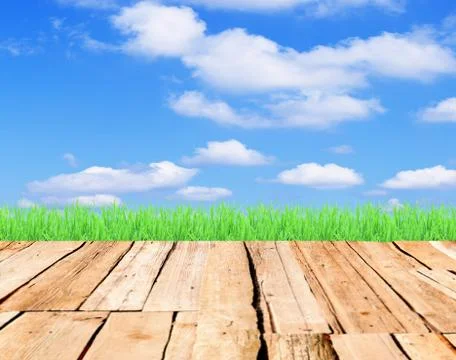 Nature frame design element 스톡 사진