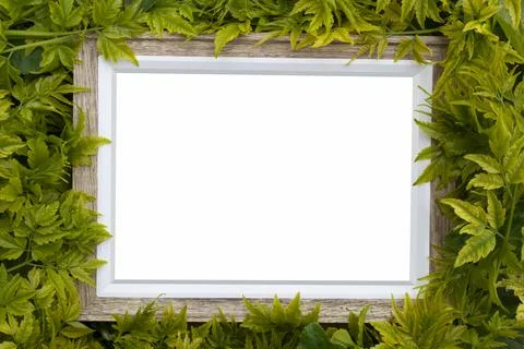 Nature Frame Stock Photos