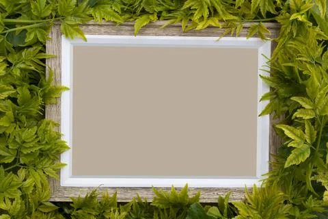 Nature Frame Stock Photos