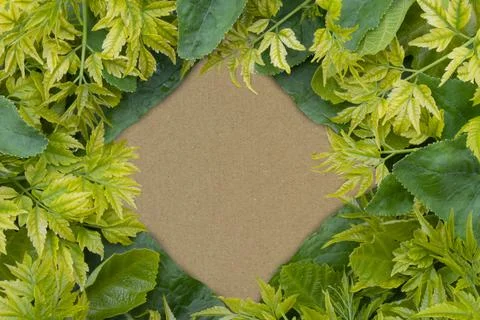 Nature Frame Stock Photos
