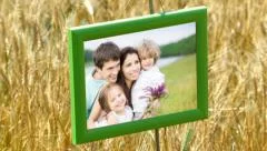 Nature Frames Stock After Effects