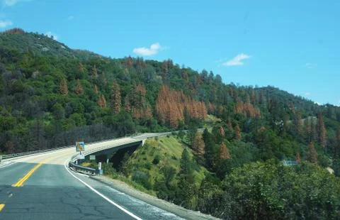Nature freeway 스톡 사진