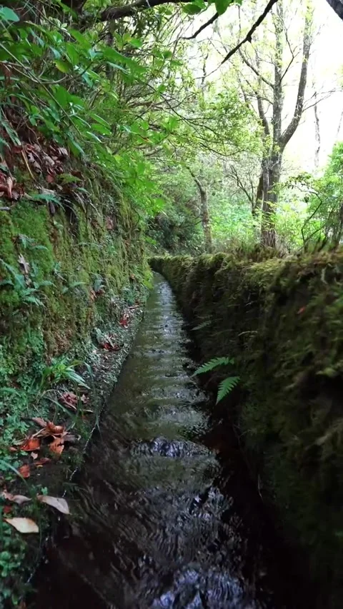 Nature is a friend Video stock 221777885