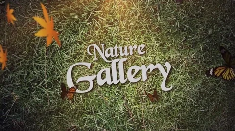 Nature Gallery Stock After Effects
