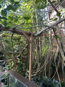 Nature in Germany Foto stock