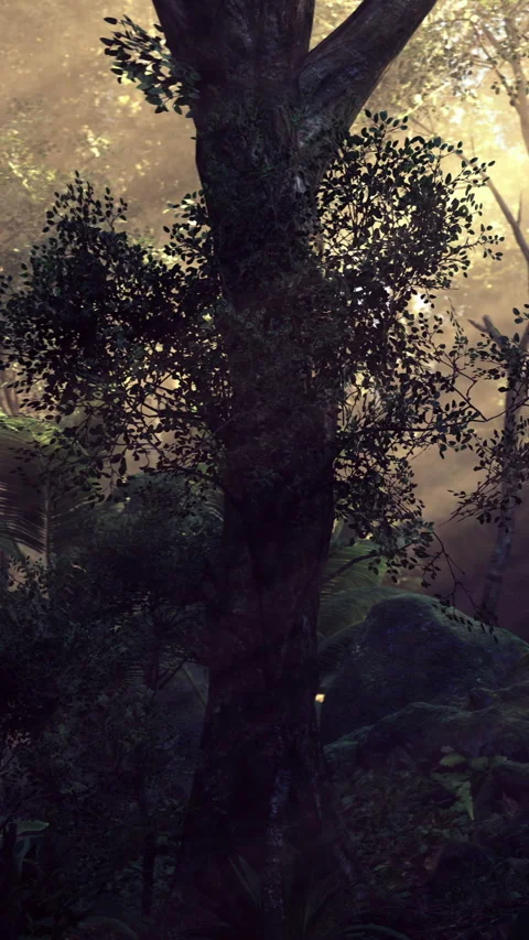 Nature glows softly in a tranquil forest at dawn with a majestic tree Stock Footage 331831836