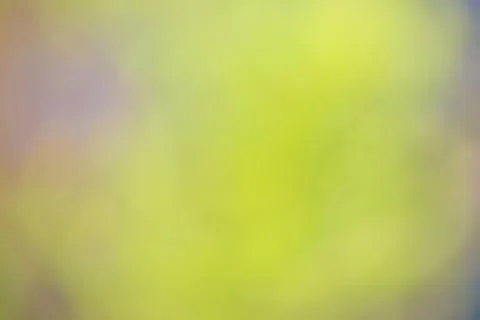 Nature gradient backdrop with bright sunlight. Abstract green blurred backgro Stock Photos
