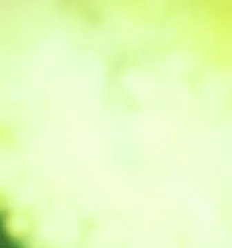 Nature gradient backdrop with bright sunlight. Abstract green blurred backgro Stock Photos