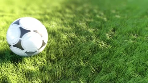 Nature Grass Football Logo Stock After Effects