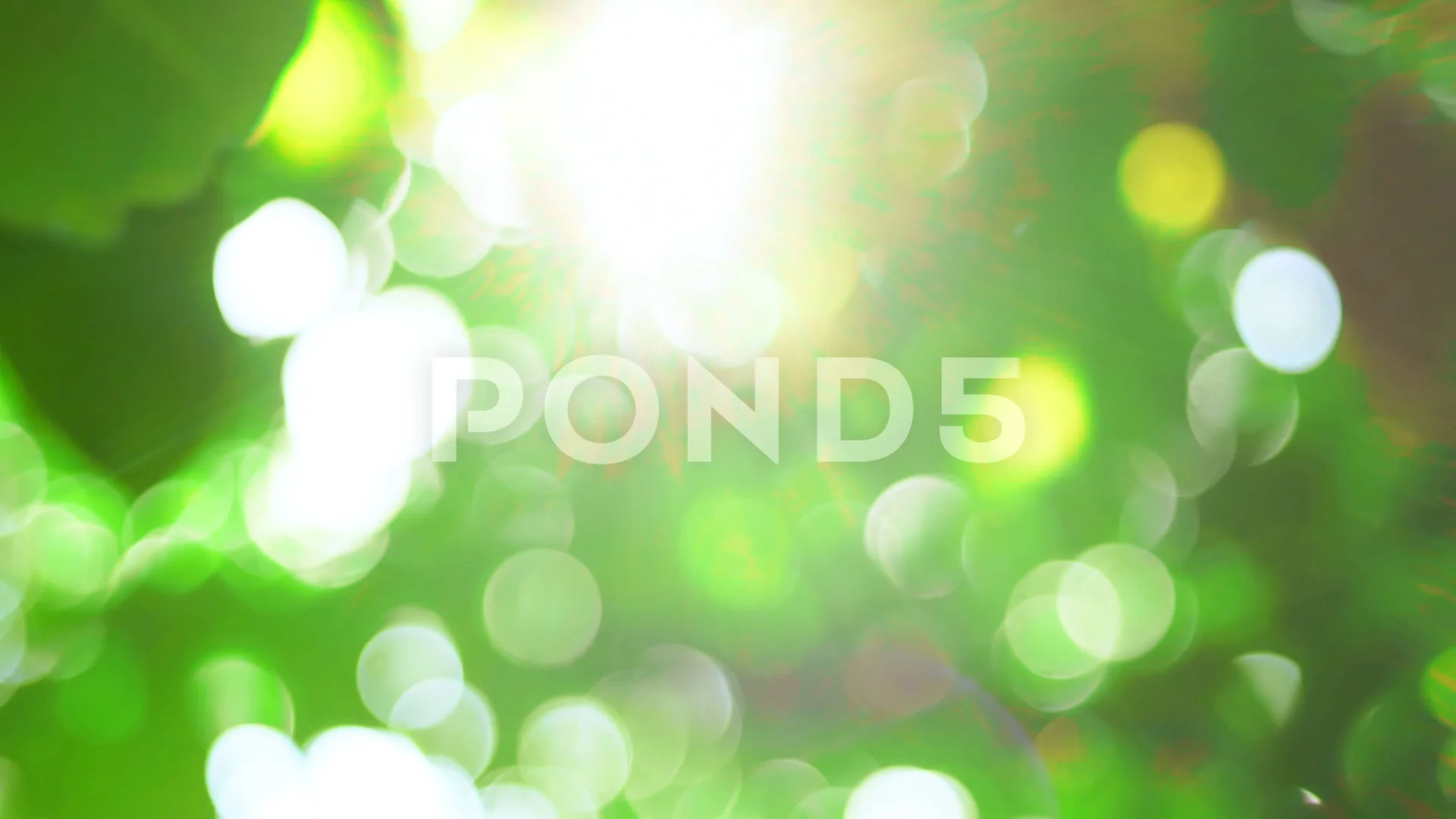 nature green bokeh background. Sunlight ... | Stock Video | Pond5