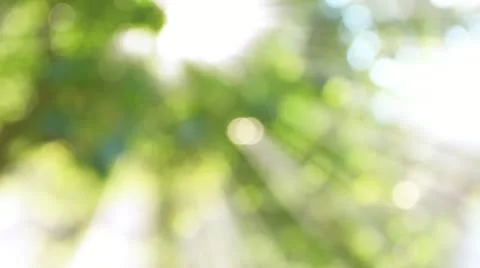 Nature green bokeh with ray 库存影片 21978595