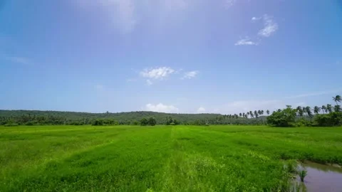 Nature, green field with clouds timelapse 4k Stock Footage 167970589
