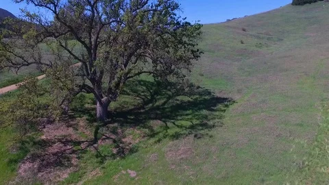 Nature green fields and mountains in California Stock Footage 106262517