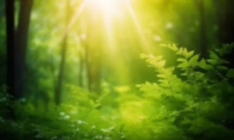 Nature of green leaf in garden at summer. Natural green leaves plants using as Stock Illustration