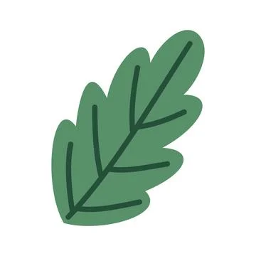 Nature Green Leaf Hand-Drawn Organic Doodles Vector イラスト素材