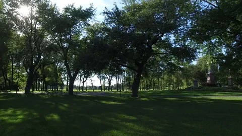 Nature Greenery Empty Field &amp; Sun Flare Background Stock Footage 75800014