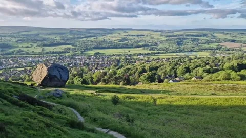 Nature greenery view slow motion scene Stock Footage 276882447