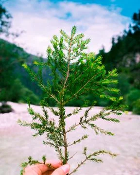 Nature in the hand 写真素材
