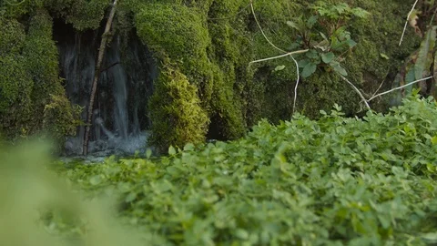 Nature - Handheld shot of springwater source Stock Footage 118978751