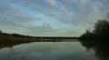 Nature Harmony 20111211-140521 HD Footage
