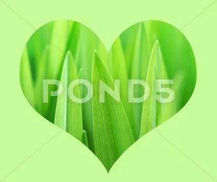 Nature heart Stock Illustration