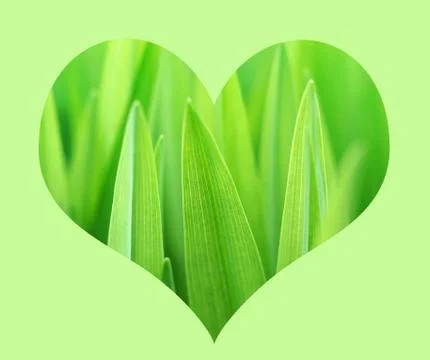 Nature heart Stock Illustration
