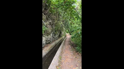 Nature &amp; Heritage on Levada dos Tornos – Madeira Walk 4K vertical video Stock Footage 315032762