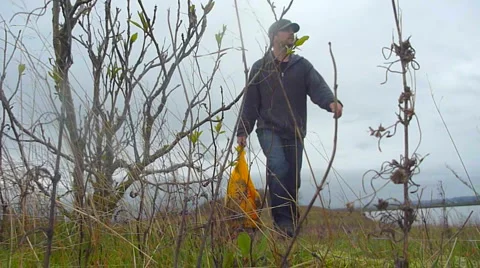 Nature Hike 2 Video stock 2594264