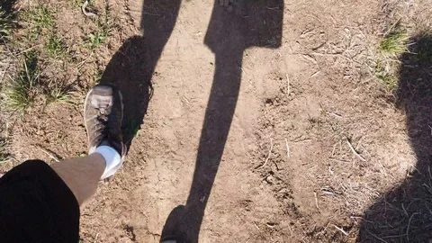 Nature Hike Stock Footage 106275757