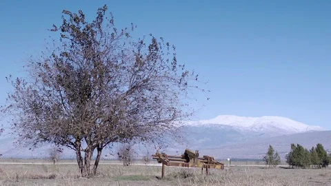 Nature is his beauty Stock Footage 113320003