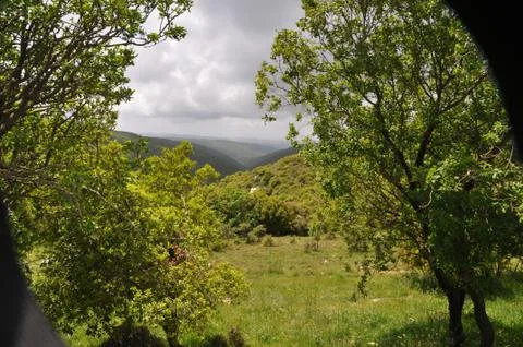 Nature of  Holy land Stock Photos