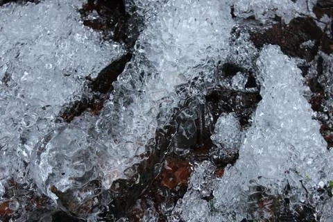 Nature in ice Stock Photos