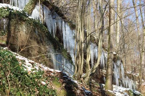 Nature in ice Stock Photos
