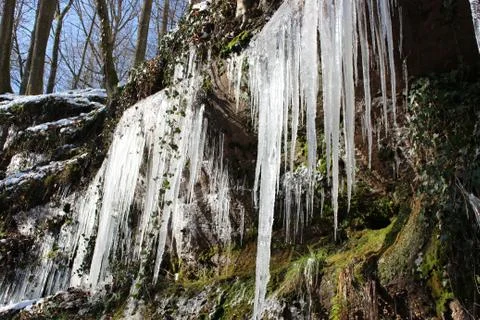 Nature in ice Stock Photos