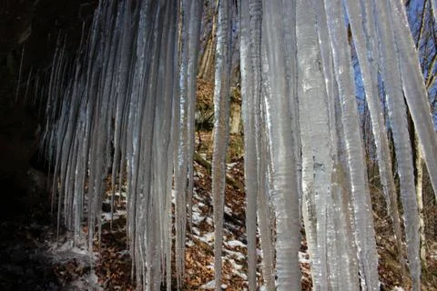Nature in ice Stock Photos