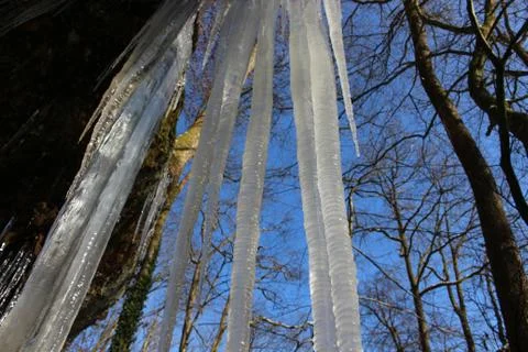 Nature in ice Stock Photos