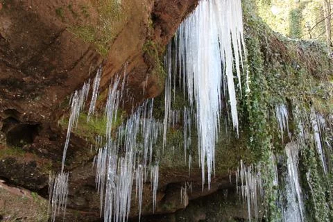 Nature in ice Stock Photos