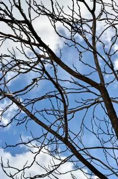 Nature of the image Stock Photos