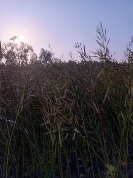 Nature image Stock Photos