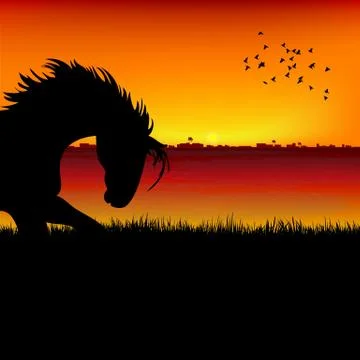 Nature in India Illustrazione stock