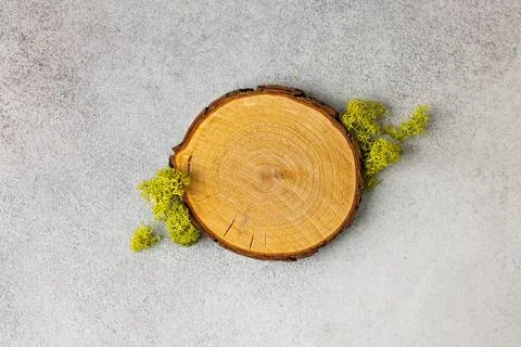 Nature-Inspired Background with Tree Ring and Moss for Creative Design Projec Stock Photos