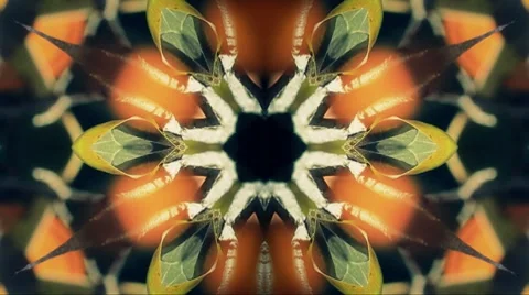 Nature-Inspired, Trippy, Hippy, Psychedelic Kaleidoscope Stock Footage 8535752