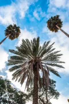 Nature of Iran Stock Photos