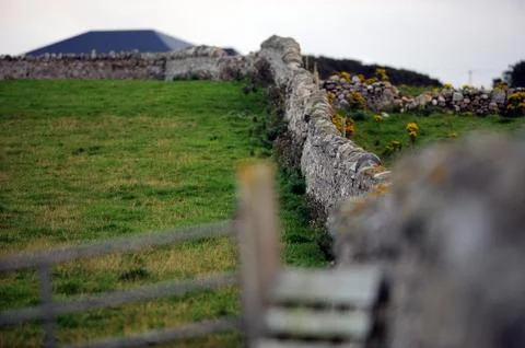 Nature from Irland Stock Photos