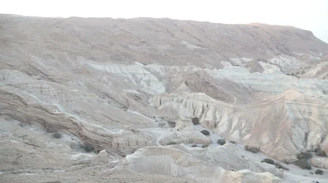 The Nature Of Israel Stock Footage 62849536