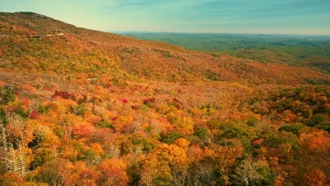 Nature at its best Stock Footage 143617112